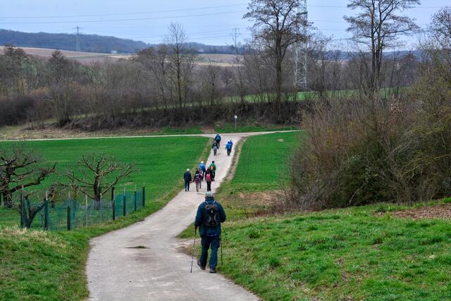Auf der Zielgeraden | Foto: Michael Harmsen