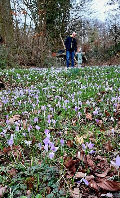 Wiese gefunden | Foto: WandernGabyErich