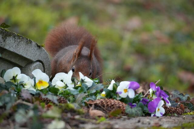 Foto: Moni Bordt
