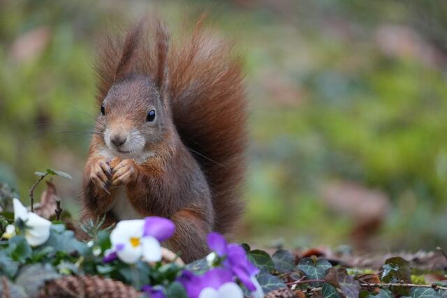 Foto: Moni Bordt
