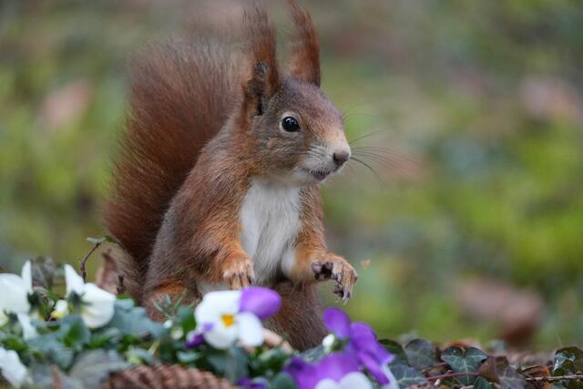 Foto: Moni Bordt
