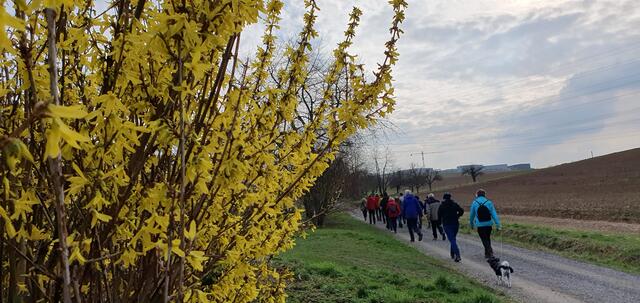 Foto: privat Sibylle Tröber, Margarete Burk, Thomas Grau