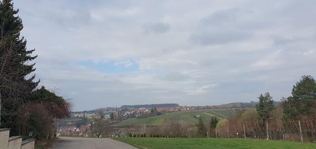 Foto: privat Sibylle Tröber, Margarete Burk, Thomas Grau