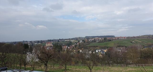 Foto: privat Sibylle Tröber, Margarete Burk, Thomas Grau