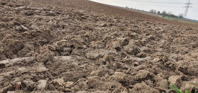 Foto: privat Sibylle Tröber, Margarete Burk, Thomas Grau