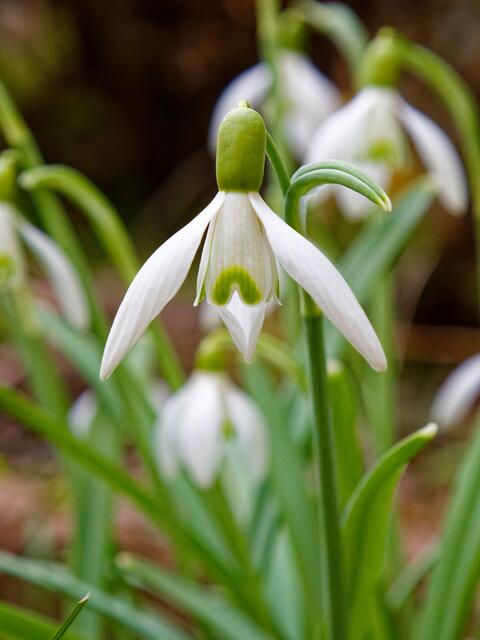 Foto: WKY