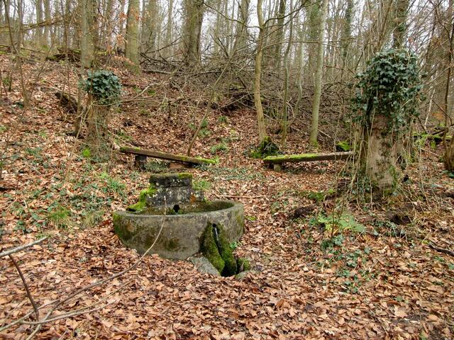 Brunnen im Kaywald | Foto: WandernGabyErich