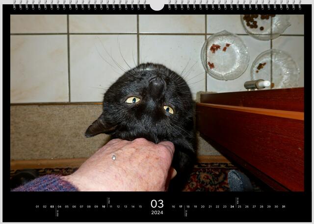 Ich liebe dich, Daddy! | Foto: WKY