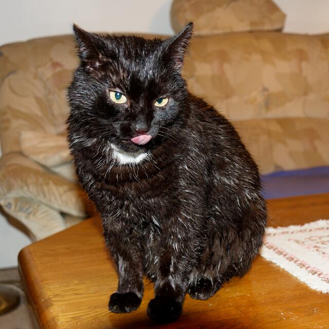 Bad im Deinenbach bei 3° C | Foto: WKY