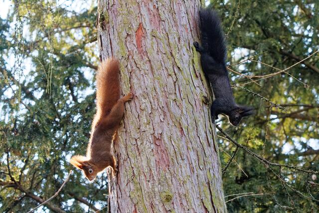Gleich wird's turbulent! | Foto: WKY