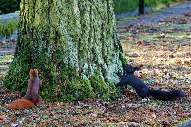Gleich wird's turbulent! | Foto: WKY
