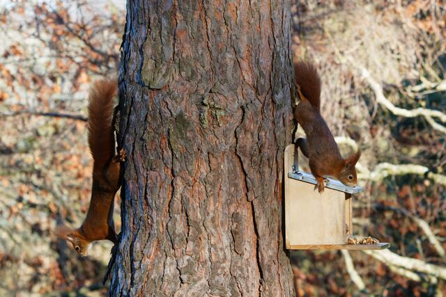 Gleich wird's turbulent! | Foto: WKY