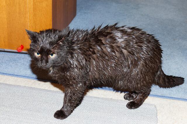 Bad im Deinenbach bei 3° C | Foto: WKY