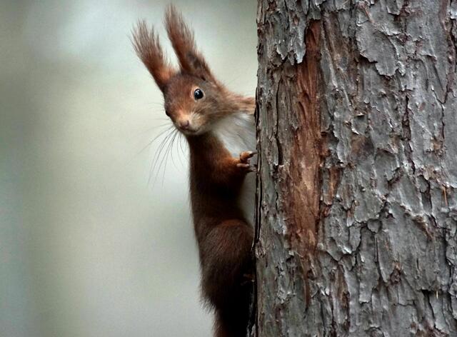Und immer schön aufpassen. | Foto: Daniela Somers