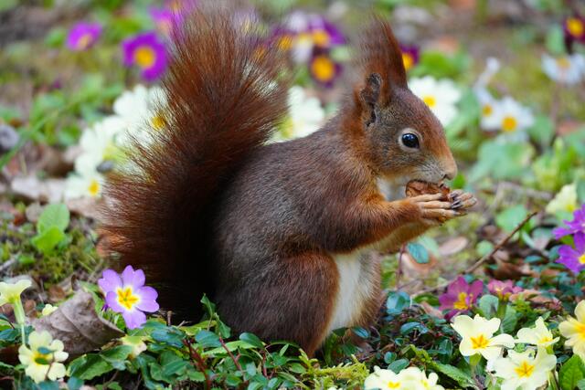Es schmeckt! | Foto: Moni Bordt