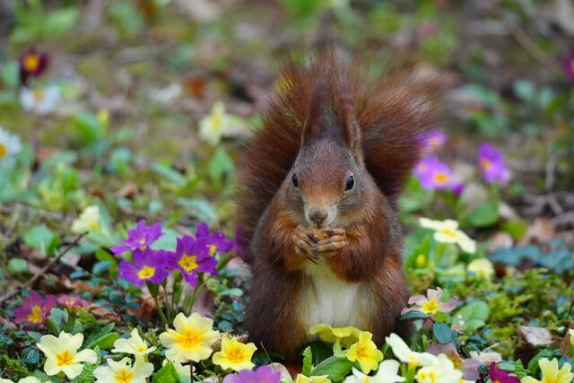 Endlich sitzt es da, wo ich es schon die ganze Zeit haben wollte:-))) | Foto: Moni Bordt
