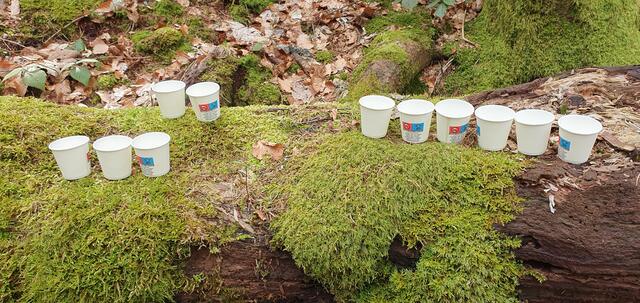 Foto: privat Sibylle Tröber