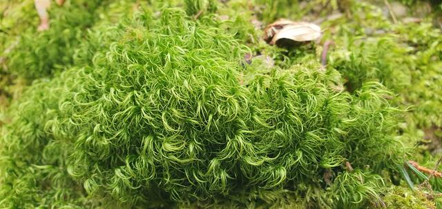 Foto: privat Sibylle Tröber