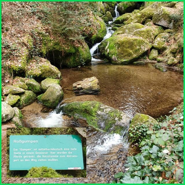 Foto: privat Sibylle Tröber