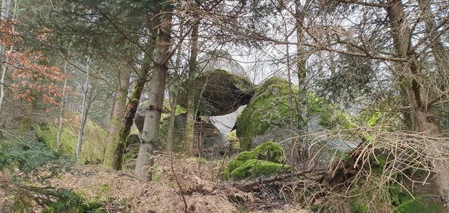 Foto: privat Sibylle Tröber