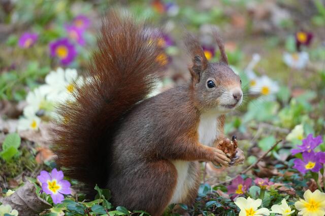 "Huch, wer hat mich da entdeckt?" | Foto: Moni Bordt