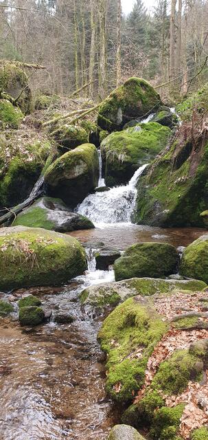 Foto: privat Sibylle Tröber