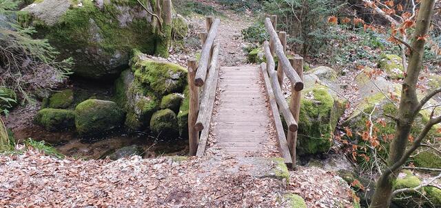 Foto: privat Sibylle Tröber