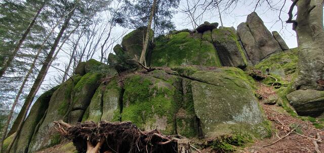 Foto: privat Sibylle Tröber
