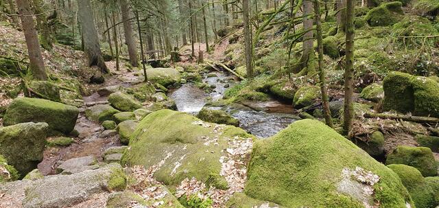 Foto: privat Sibylle Tröber