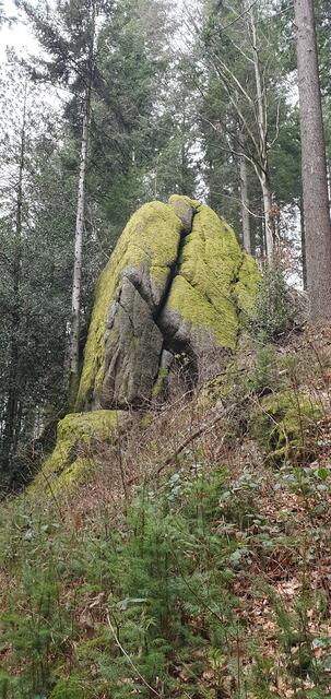Foto: privat Sibylle Tröber