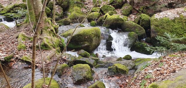 Foto: privat Sibylle Tröber