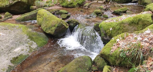 Foto: privat Sibylle Tröber