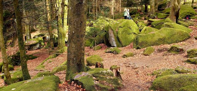 Foto: privat Sibylle Tröber