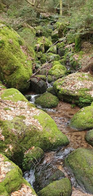 Foto: privat Sibylle Tröber