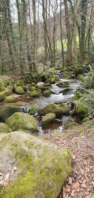 Foto: privat Sibylle Tröber