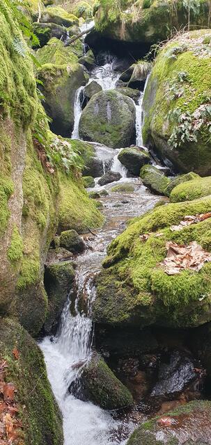 Foto: privat Sibylle Tröber