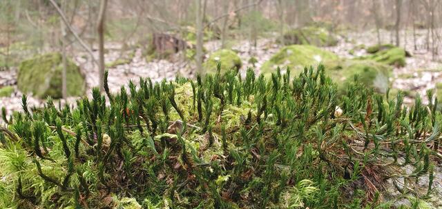 Foto: privat Sibylle Tröber
