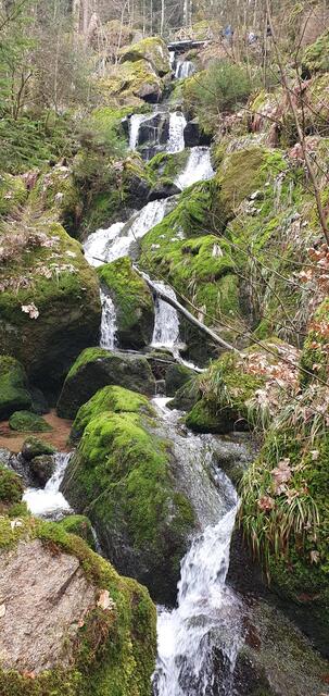 Foto: privat Sibylle Tröber