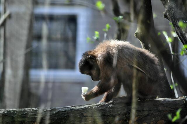 Uii, was ist denn das? | Foto: Daniela Somers