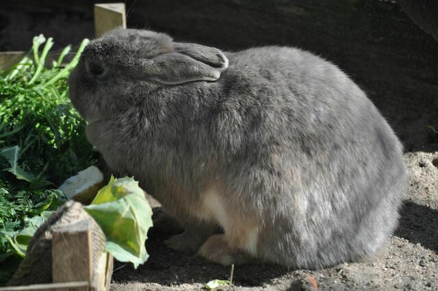 Lecker, alles für mich. | Foto: Daniela Somers