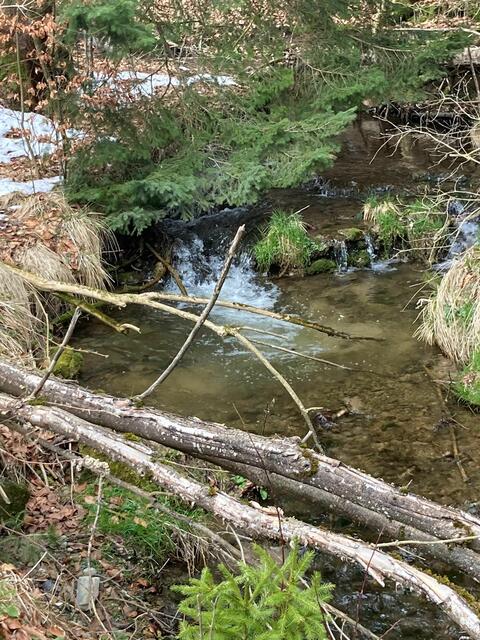 Auch der Bach soll im Sommer genutzt werden. Wie genau, dass wird noch nicht verraten. Wer es miterleben möchte, kann sich noch anmelden!! | Foto: Fototeam des Zeltlagers