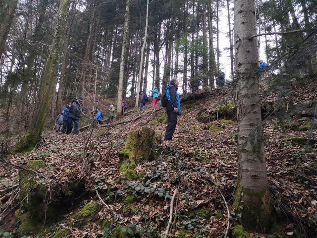Abstieg ins Igelsbachtal | Foto: Jürgen Pachwald