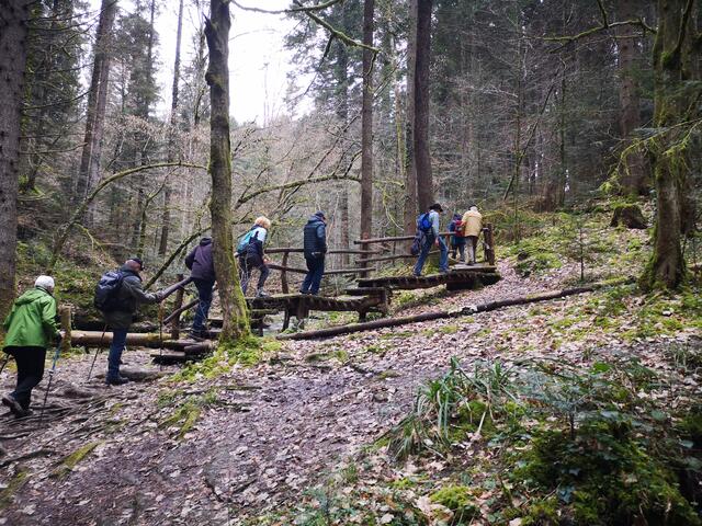 Strümpfelbachtal | Foto: Jürgen Pachwald