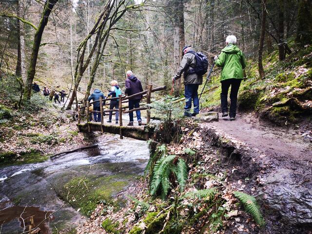 Strümpfelbachtal | Foto: Jürgen Pachwald