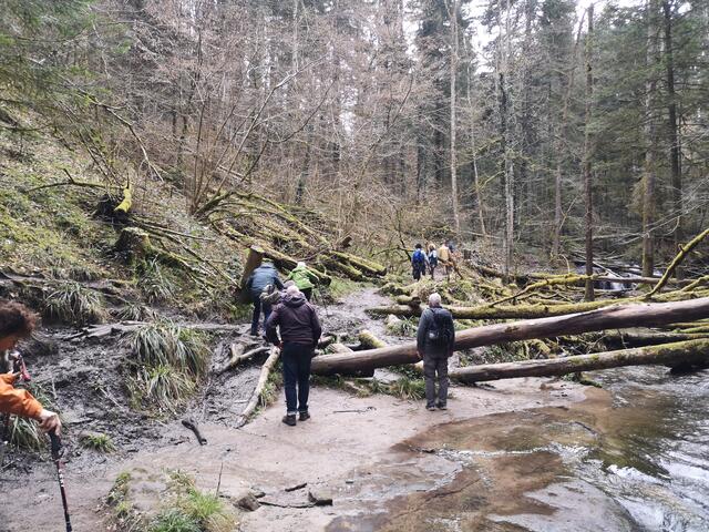 Strümpfelbachtal | Foto: Jürgen Pachwald