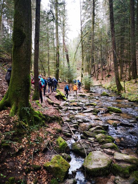 Strümpfelbachtal | Foto: Jürgen Pachwald