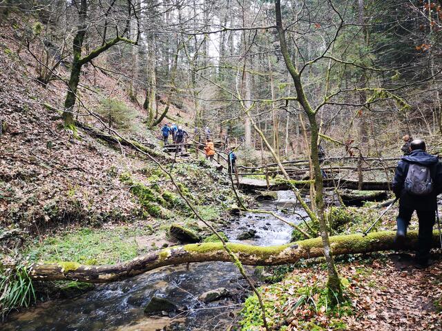 Unterwegs im Strümpfelbachtal | Foto: Jürgen Pachwald