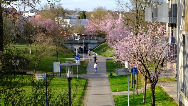 Foto: Eduard Warenik