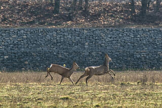 2 auf dem Radweg nach Horkheim. | Foto: G.Schiffl