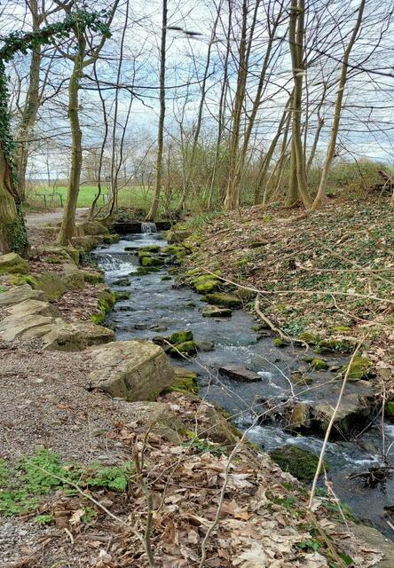 In einem romantischen Tälchen plätschert das Nonnenbächlein über Kanten und Felsen dahin. | Foto: Foto privat